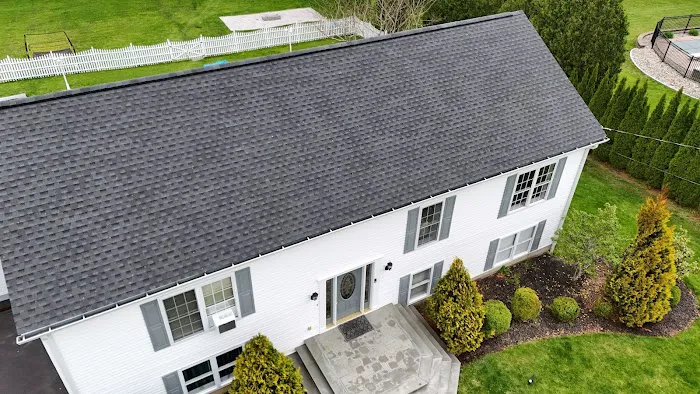 Extera Roofing Picture 6