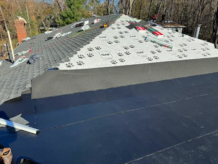 Extera Roofing Picture 8