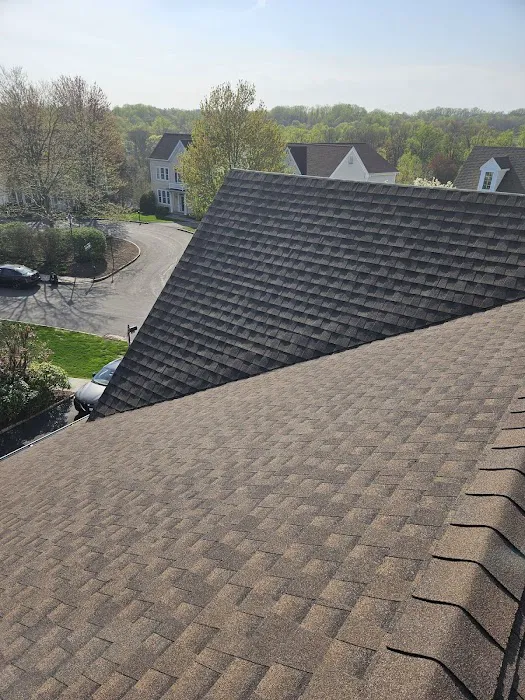 Papa & Sons Contracting Picture 5