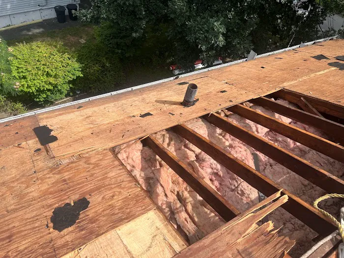 RDC PRO EXTERIORS Picture 4