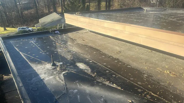 Detailz Carpentry & Roofing LLC Picture 7