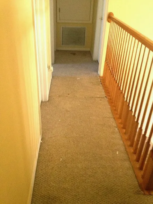 Solution Remodeling & Painting Co Picture 8
