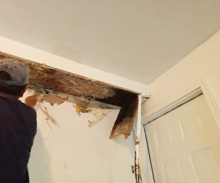 DONE RIGHT HANDYMAN SERVICES LLC