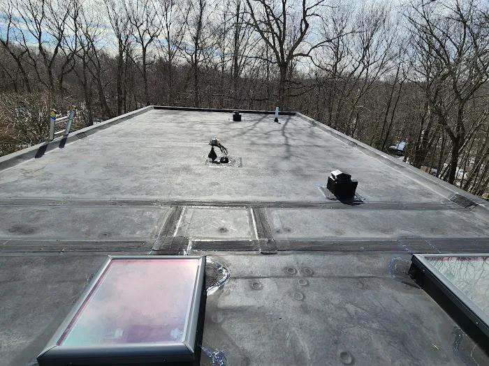 My Roof Guys Picture 3