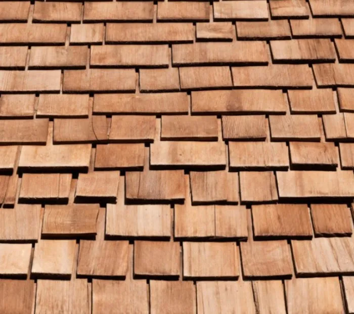 My Roof Guys Picture 6