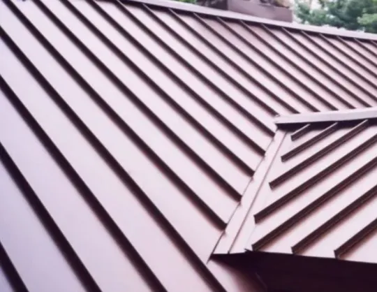My Roof Guys Picture 10