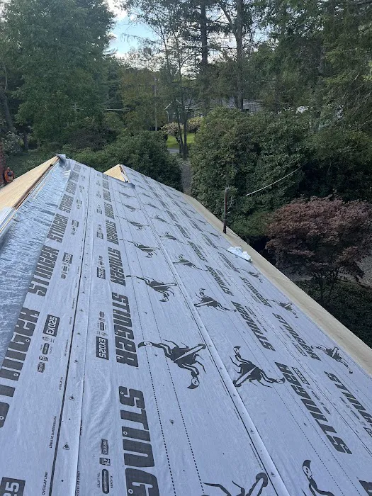 PRO LEGACY CORP -Roofing Contractor Picture 5
