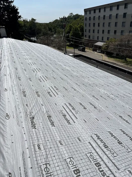 ASAP Roofing Pros Picture 4