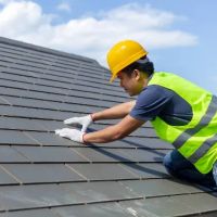 Lions Gate Roofing ico