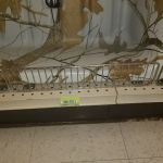 Hammond Lumber Company