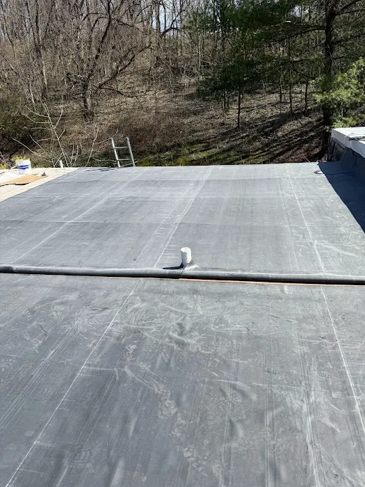 Royal Fox Roofing Picture 2