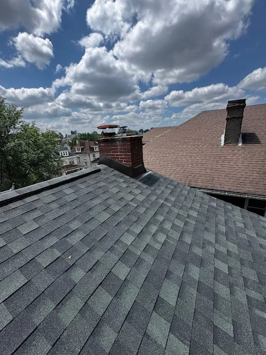 Royal Fox Roofing Picture 3