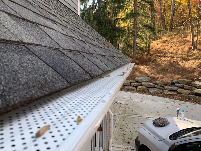 Royal Fox Roofing Picture 6