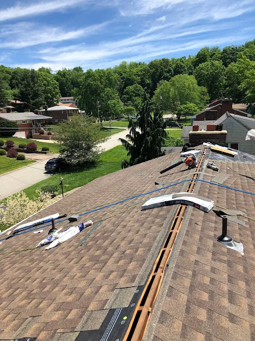 Royal Fox Roofing Picture 9