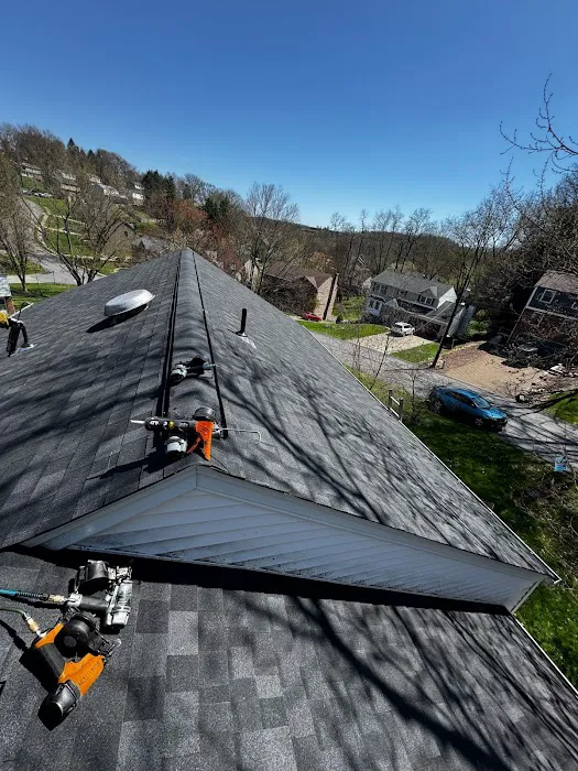 Royal Fox Roofing Picture 8