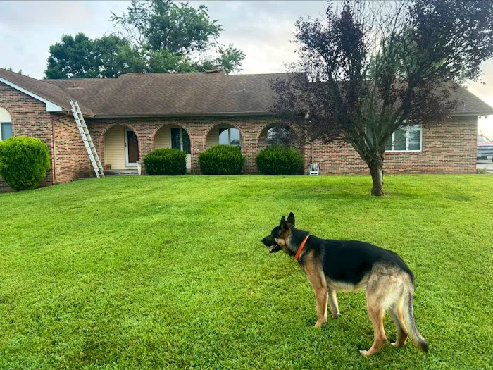 Elite Roofing & Restoration, LLC Picture 5