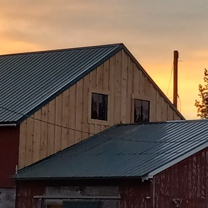 Roofing Leprechaun Picture 4