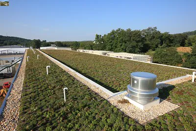 Ghise Associates Inc Picture 5