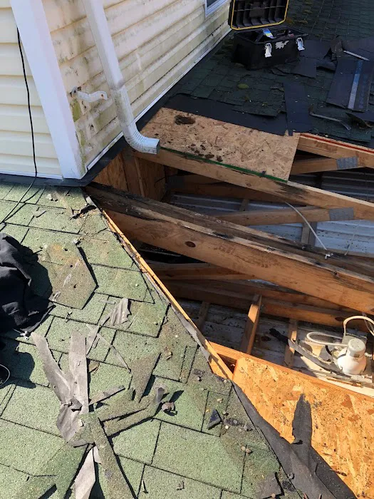 Trusted Veterans Restoration LLC Picture 8