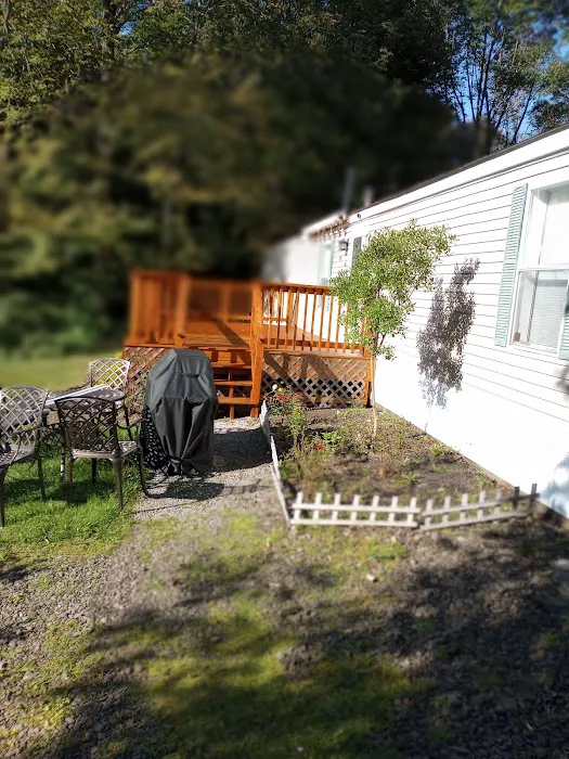 Sandell Services llc Picture 8