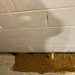 Halo Construction and Restoration