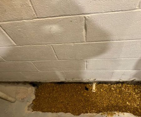 Halo Construction and Restoration