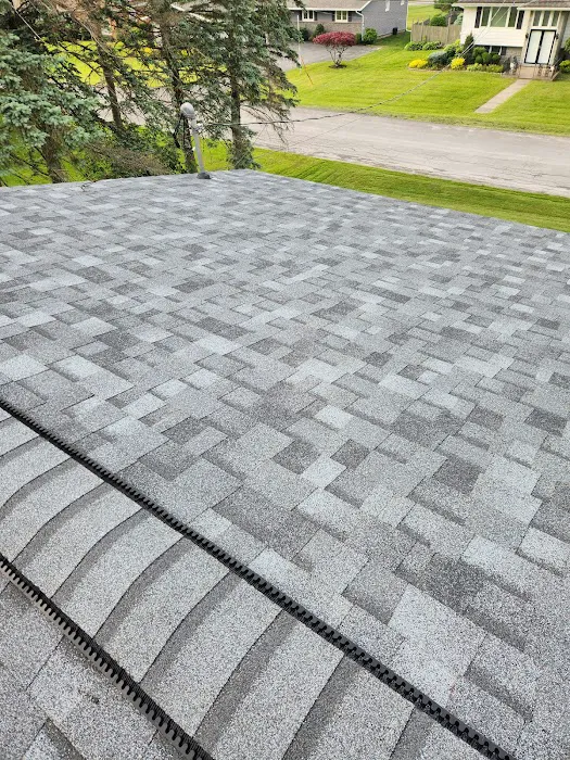 The Roofing King Picture 2