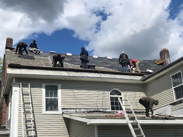 The Roofing King Picture 6