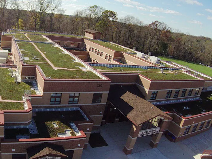 Cole Roofing Picture 4