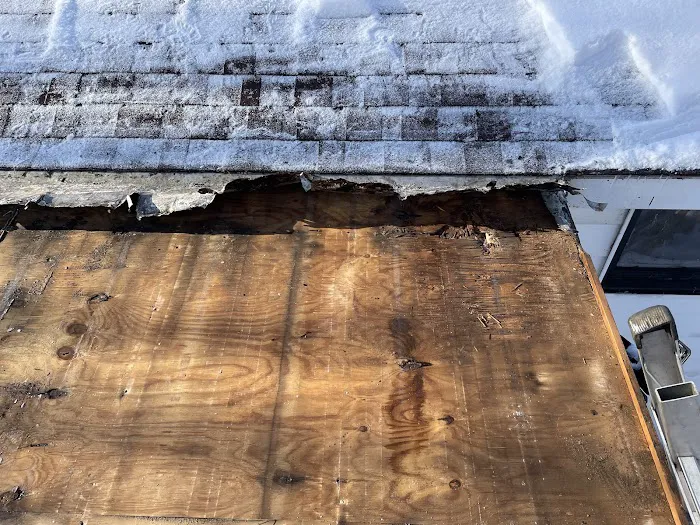 Element Roofing Picture 9