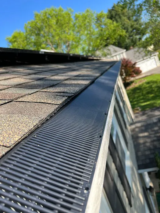 Gutter Shutter of Central Maryland Picture 10