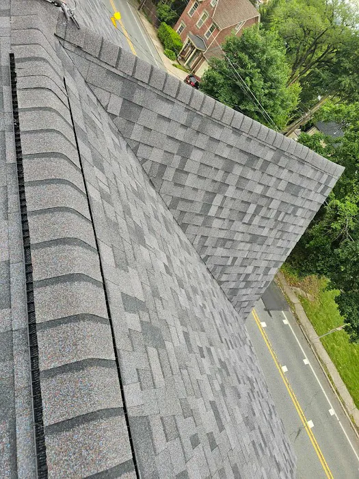 Happy Days Roofing Picture 8