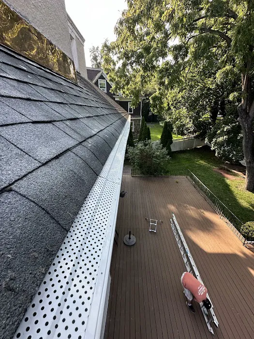 6D Roofing and Chimney Repair Picture 3