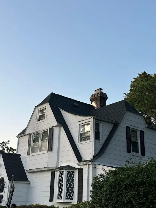 6D Roofing and Chimney Repair Picture 2