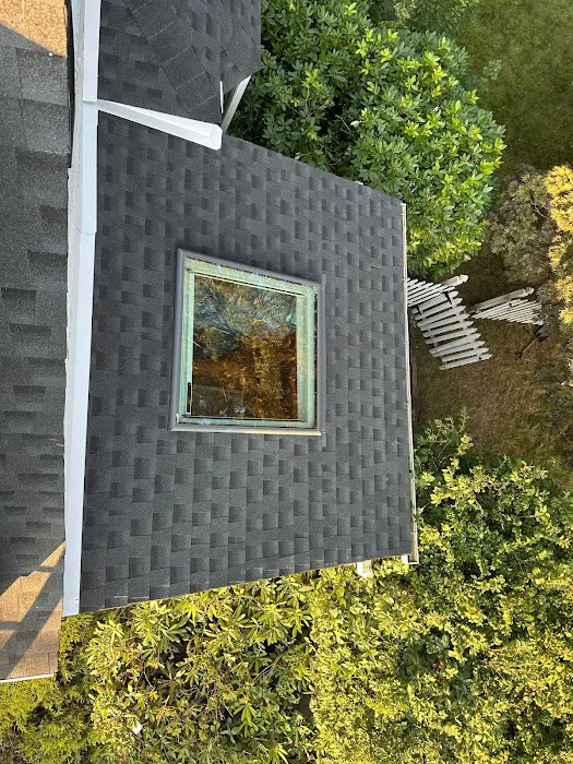 6D Roofing and Chimney Repair Picture 5