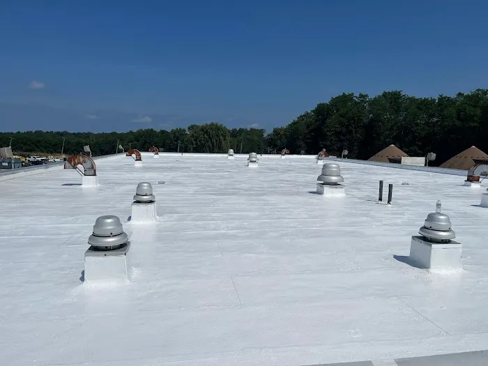 6D Roofing and Chimney Repair Picture 7