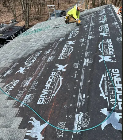 Mighty Dog Roofing Picture 7