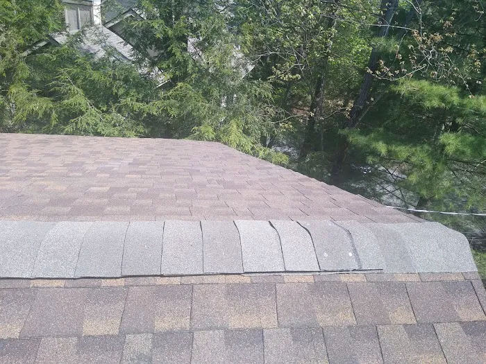 187slp Roofing and Siding Picture 3