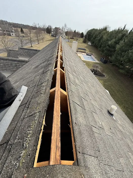 Mike Evangelist Roof Leak Specialist Picture 1