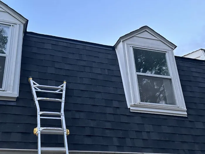 Soltera Roofing Picture 8