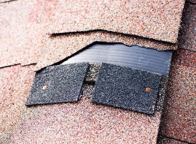 Dream Home Roofers Picture 4
