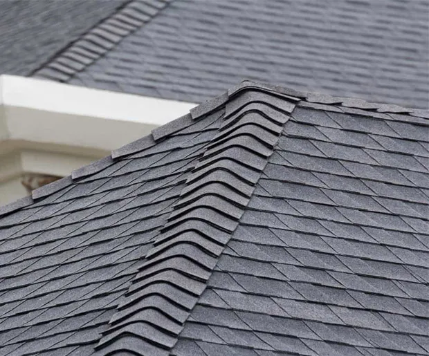 Dream Home Roofers Picture 6