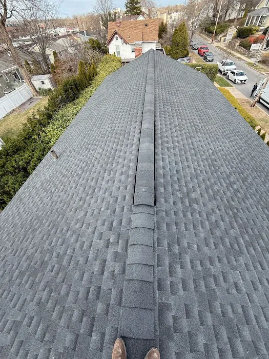 6D Roof Repair & Installation Picture 1