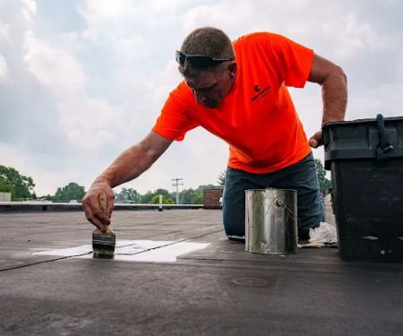 Capital Roof Care