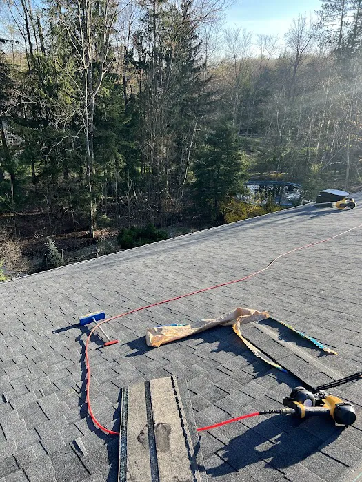 Gold Roofing and Construction Picture 8