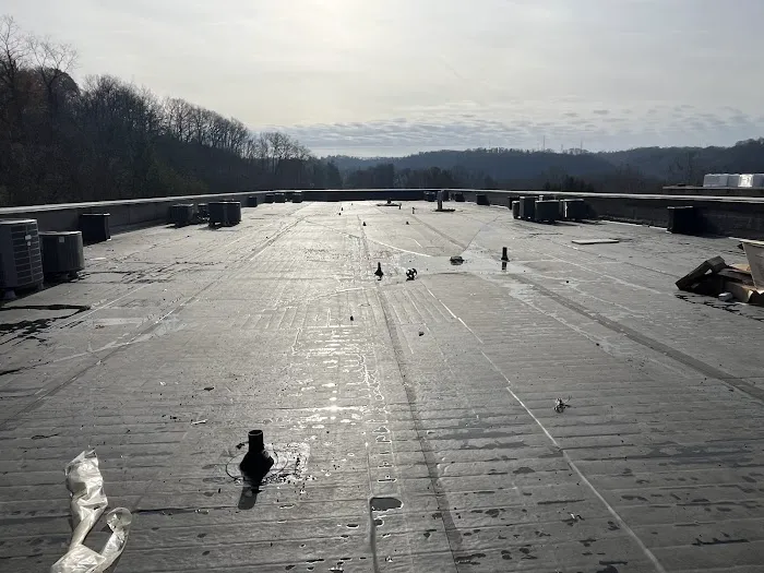 Genesis Roofing & Construction, LLC Picture 7