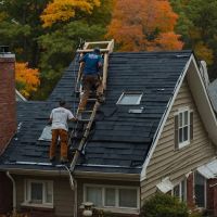 Western Roofing & Siding Care. ico