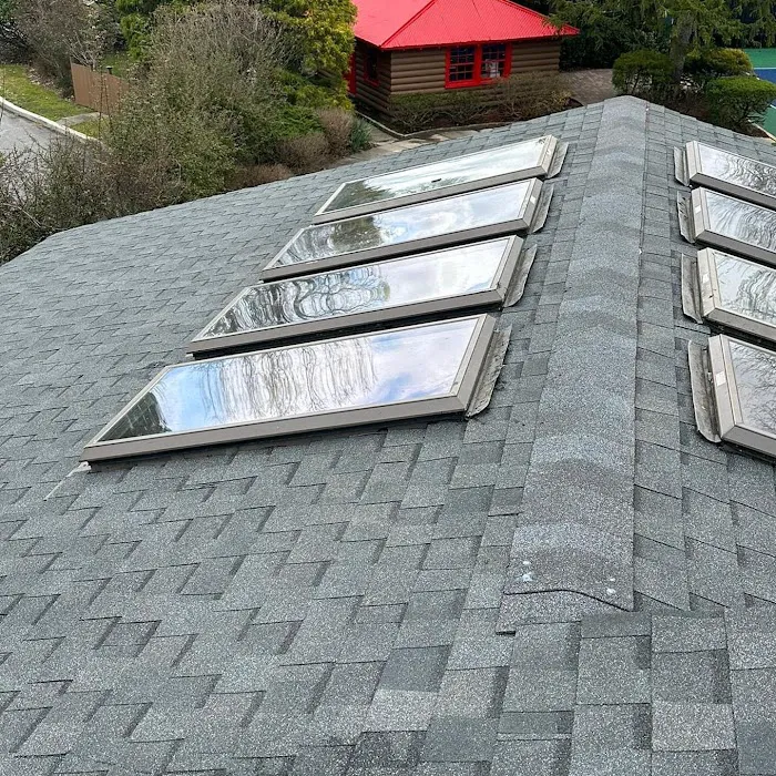 ALL PRO Roofing & Chimney Roof Repair Picture 1