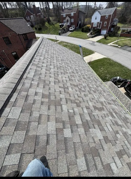 Blockbuster Roofing Picture 1