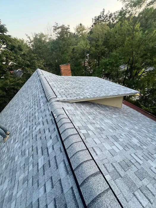 Blockbuster Roofing Picture 3